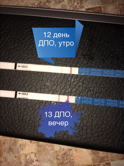Тестики на память))