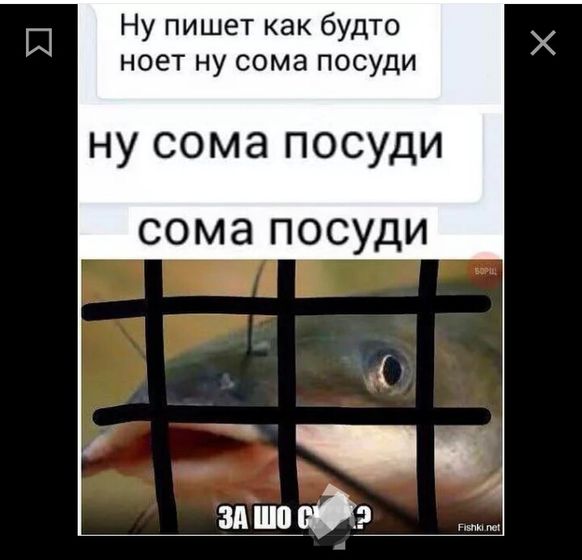 Не трогайте сома ??