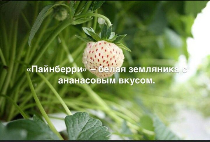 Ещё шуточек)))