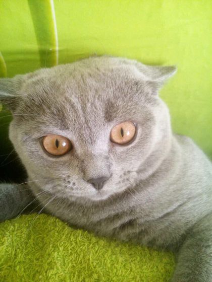 Ну что, красотки, садитесь в первый ряд ??