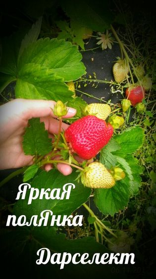 Погода налаживается)