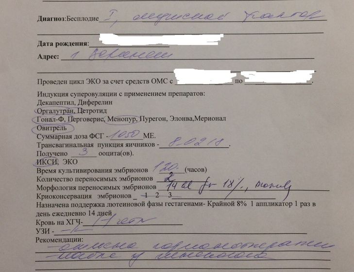 14 дпп. Хгч. Выписка и общее впечатление от ЭКО по ОМС. Воронеж