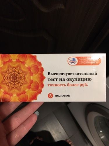 Тест