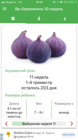 Наша инжиринка)