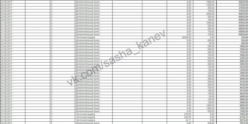 Отчет о поступлениях для Саши Канева Сентябрь