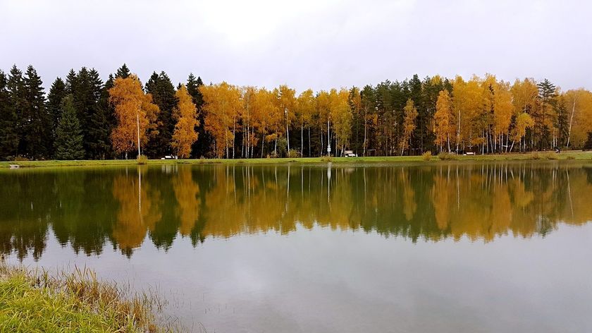 Осень, осень... Красота на телефон:)