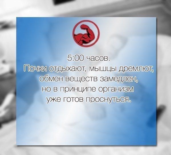 Именно поэтому я за режим.