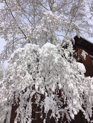 ❄️ 3 мая 2017