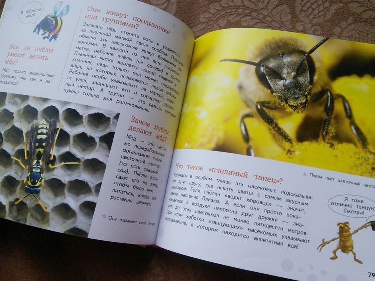 Наши новые энциклопедии