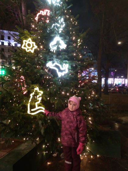 Новогодние каникулы 2018. Ледовый театр. (07.01.18)