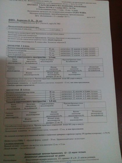 Первый скрининг двойняшек=)