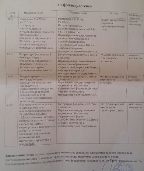 Фолликулогенез