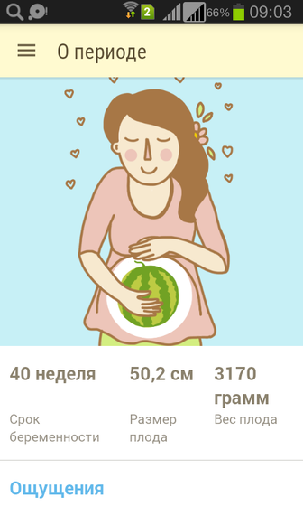40недель ?