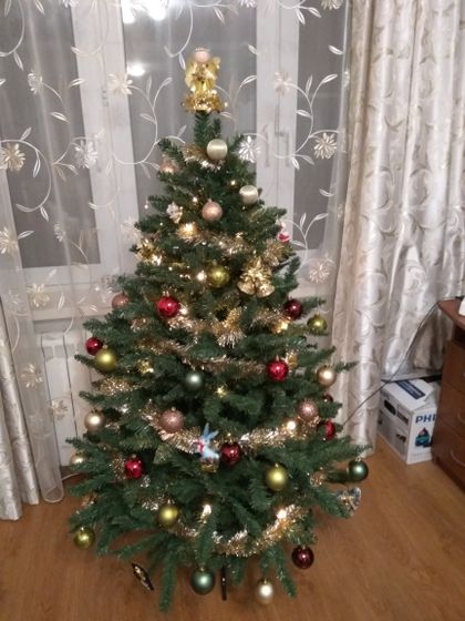 Вот и нарядили мы
