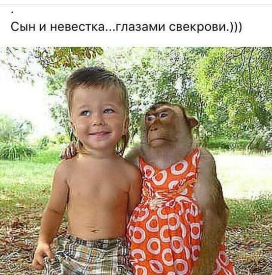 Доброе утро от свекрови😄