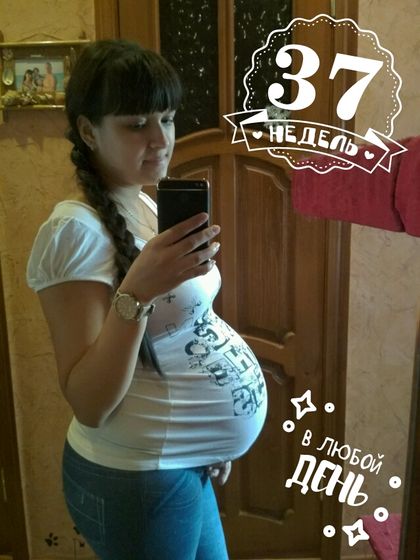 37 недель, приём в жк и новости