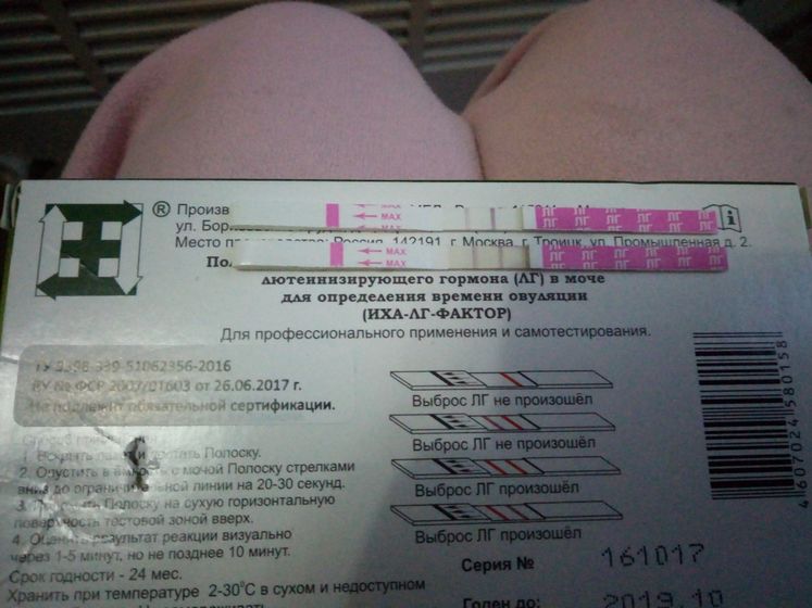 Здравствуйте,девочки!