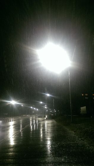 Дождевик зимой ❄