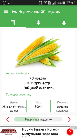 20 недель