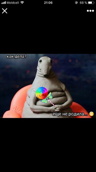 Коротко обо мне ?
