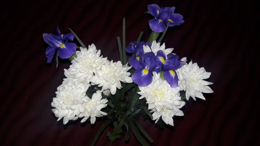 20 неделька)
