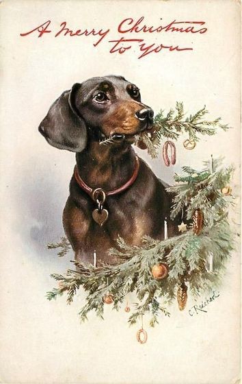 С наступившим, мои хорошие!