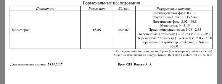 Про прогик и моё фиговое состояние☹️