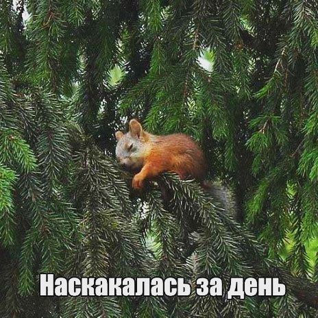 Как прошел ваш день?
