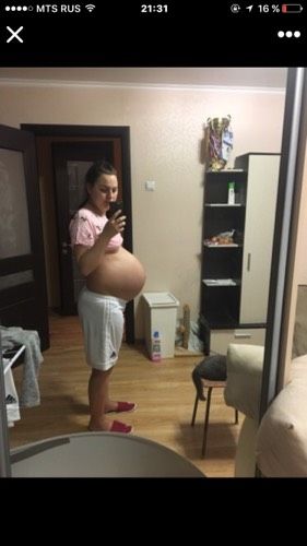 Бегемот?