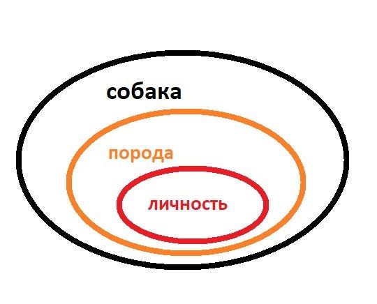 Как выбрать породу собаки?