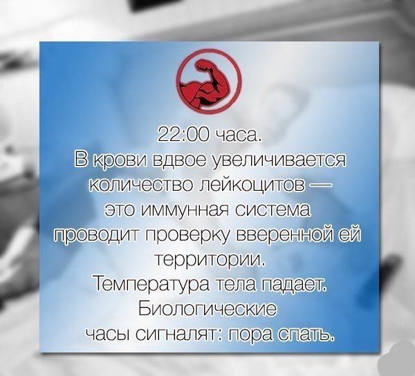 Именно поэтому я за режим.