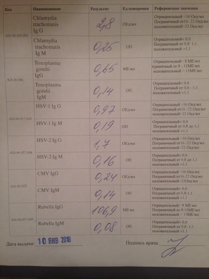 Torch анализ (все же выбила я его)