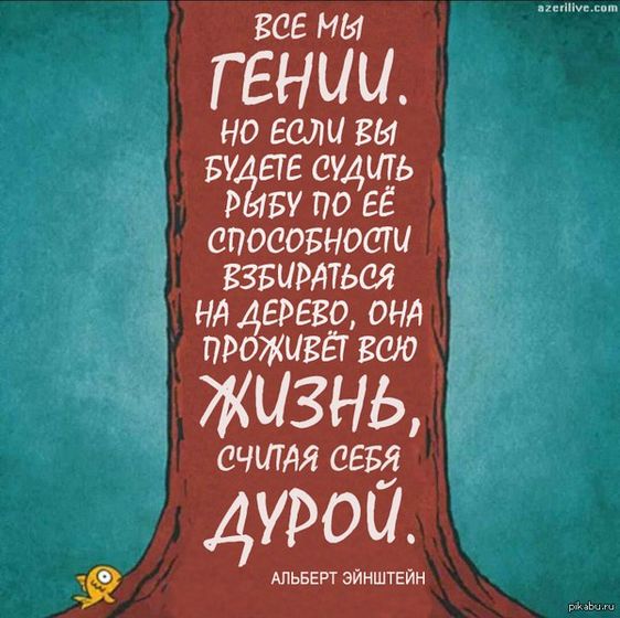 Хорошая мысль!!