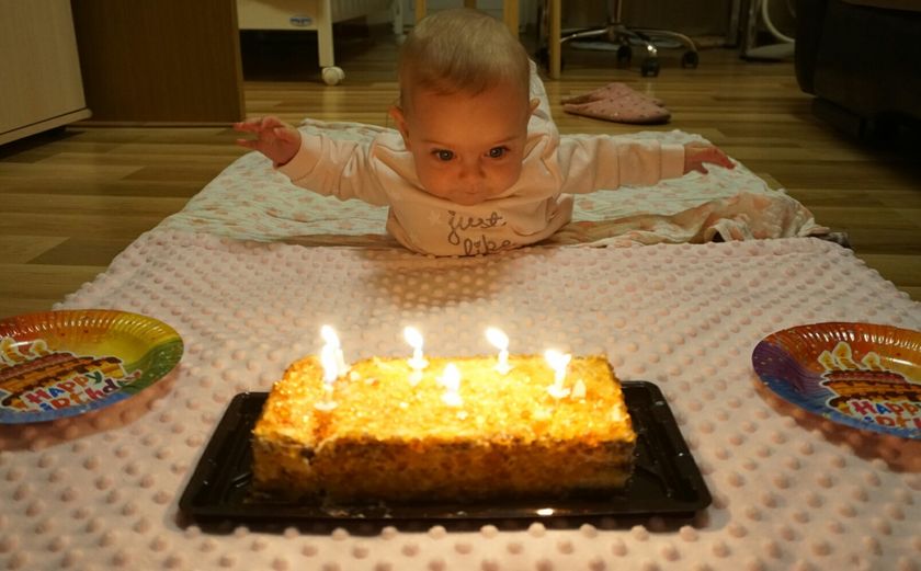 6 мес. И первый наш серьёзный юбилей: фотоотчёт