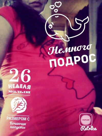 26 недель