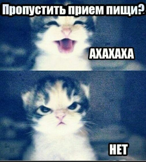 Ещё шуточек)))