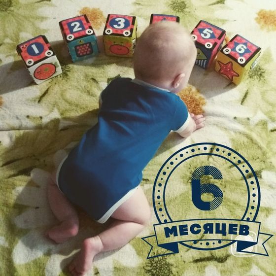 6 месяцев ???