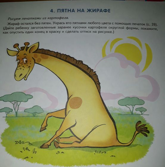 12 занятий