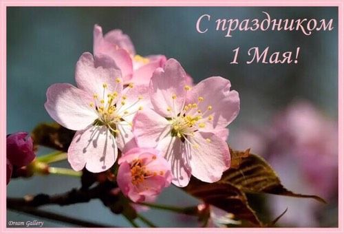 С 1 мая!??☺️