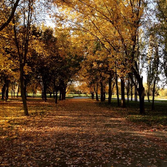 Красочная осень