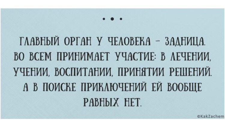 Юмор на ночь 😁