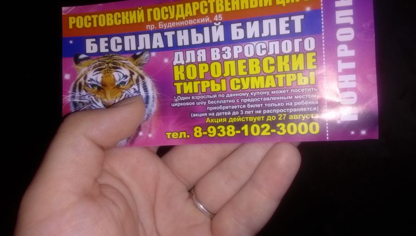Билет в цирк. Ростов