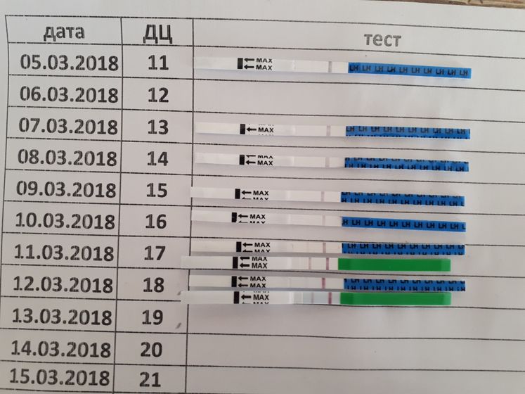 Было или не было, прошло или нет... Овуляция