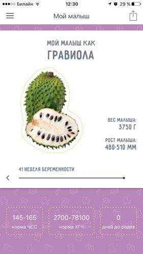 41 неделя....