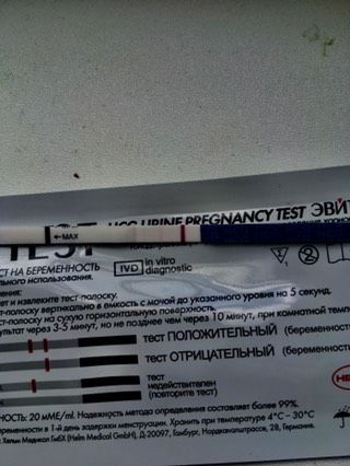 11 дпо
