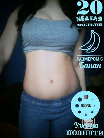 20 неделя)) Экватор )