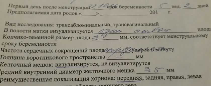 Срок беремнности