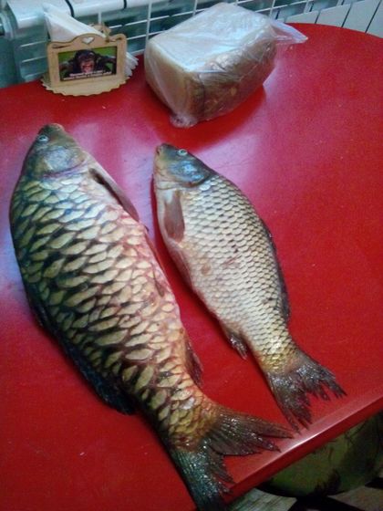 Рыбка