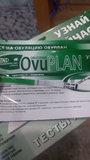 Тест на Овульку