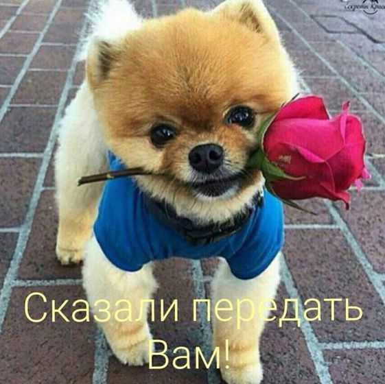 3 СКРИНИНГ